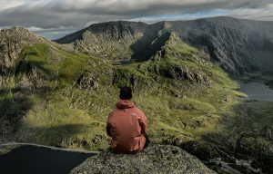 EMDR Therapy Program