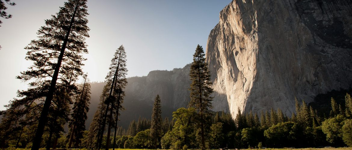 Understanding Prescription Drug Addiction