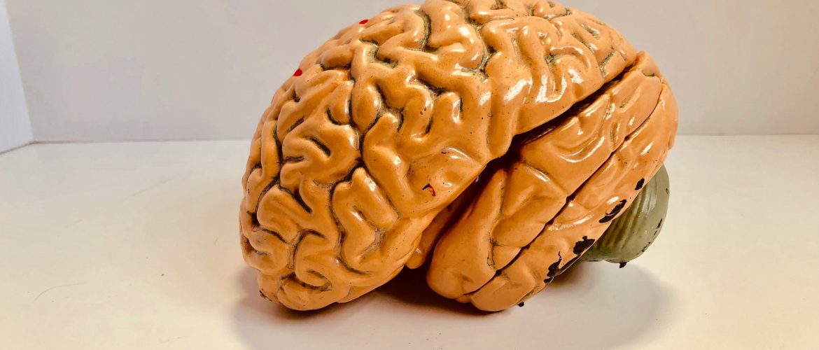 How Quantitative EEG Has Modernized Mental Health Diagnosing