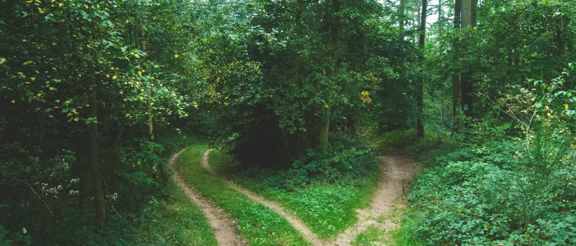 Understanding Different Insurance Plans